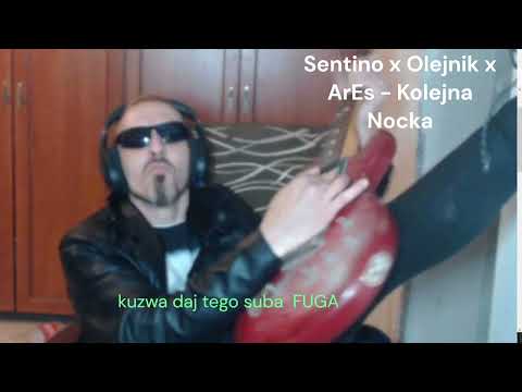 Sentino x Olejnik x ArEs - Kolejna Nocka (nightcore) speed up