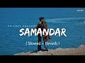 Samandar - Lofi (Slowed + Reverb) | Jubin Nautiyal, Shreya Ghoshal | SR Lofi