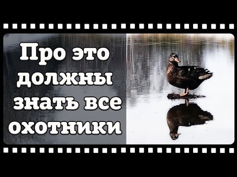 Подсадная утка или как не потерять уникальное наследие нашей страны.