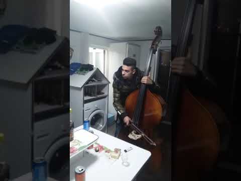 Taraf Mociu Carol Tuli