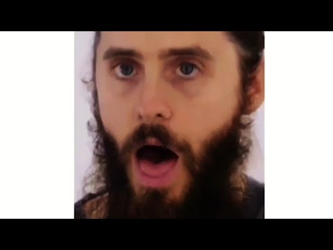 download lagu mp3 mp4 Jared Leto Jamie Leto, download mp3 Jared Leto Jamie Leto free downloadn, video klip Jared Leto Jamie Leto