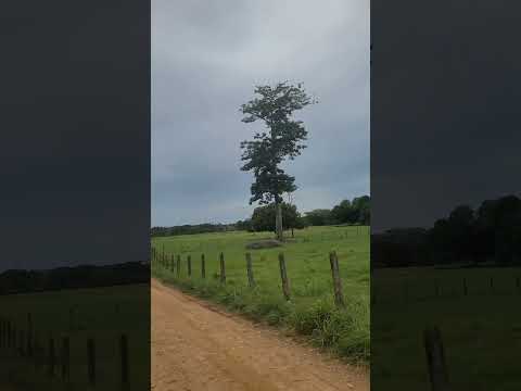 pasando por puente tubo en mandinga hacienda Dell municipio de Caceres antioquia #shorts