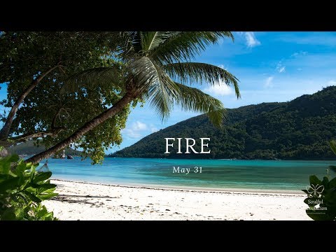 Are they a player or legit? FIRE Sign May 31 Aries Leo Sagittarius