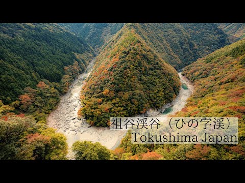 山々が色づき始める「秋」/祖谷渓谷 ひの字渓谷 Iya Keikoku Hinoji Keikoku