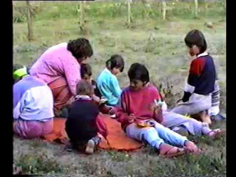 Somesu Rece 1993 & 1994