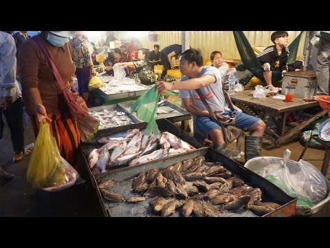 Early Morning Daily Activities of Vendors Selling Alive Fish, Seafood & More - Fish Market in Early