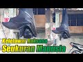 MENGERIKAN Kelelawar Raksasa Seukuran Manusia Picu Ketakutan Warga