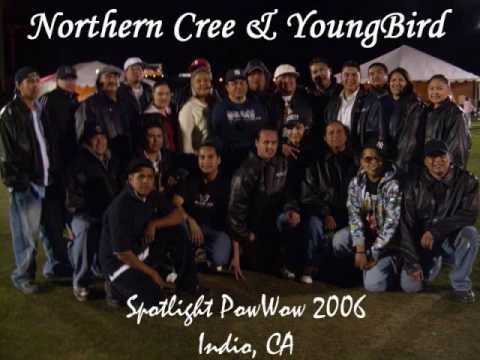 northern cree lets 49