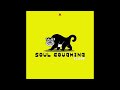 Soul Coughing - 212