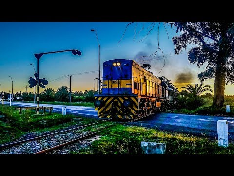 2010 pasando ruta 11, estación Pedrera. 12/1/2019.