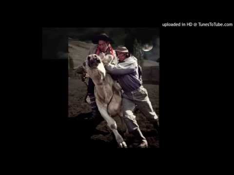 Today's Tango Is... El Cuatrero - Francisco Canaro 18-04-1928