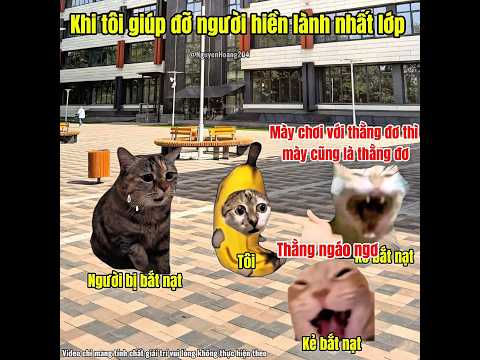 Khi tôi giúp đỡ người ít nói nhất lớp #meme #catmeme