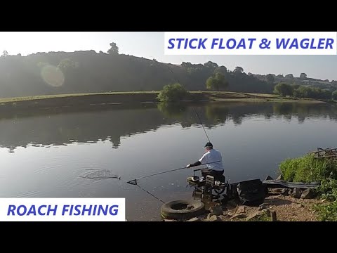 STICK FLOAT & WAGGLER ROACH FISHING ON THE RIVER - Hoveringham - River Trent