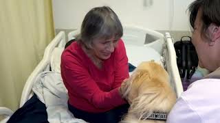 Saúde - Visita de cães ao Hospital dos Estivadores