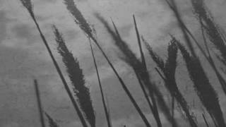 Mal Waldron Trio Moonglow & Stardust (Full Album)