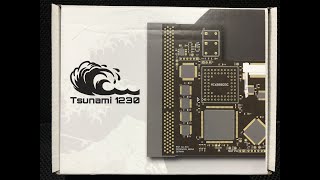 Amiga hardware: Test Tsunami 1230 with some games & intros
