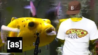 Injury Reserve &quot;All This Money&quot; | FishCenter | Adult Swim