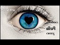 New Whatsapp Status Lyrical Video Art Lyric Video Malayalam NILAVINTE THOOVAL THODUNNAPOLE