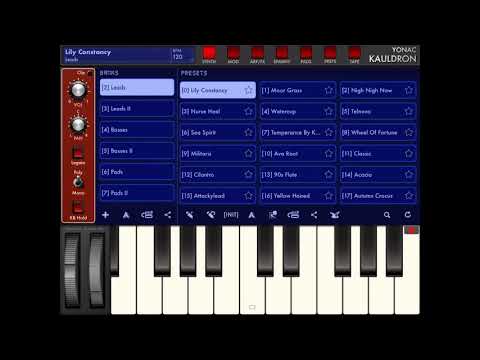Yonac Kauldron - How does it sound? Leads Presets