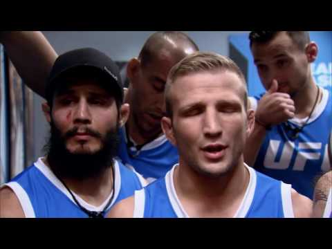 TJ Dillashaw Denies Injuring Chris Holdsworth