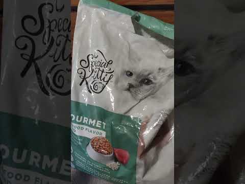 SPECIAL KITTY DRY CAT FOOD WARNING!