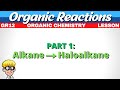 Reactions Organic Chemistry Grade 12 Alkane To Haloalkane