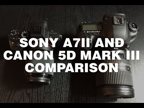 Sony a7II and Canon 5D Mark III Comparison! Which One Is Right For You?
