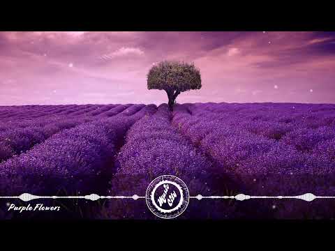 Filthy The Kid feat. Lawd Ito - Purple Flowers