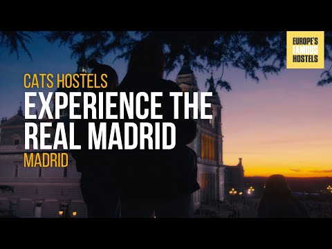 Experimente o REAL Madrid - Cats Hostel