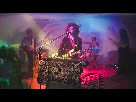 Vinyl Williams - Live on The Moon