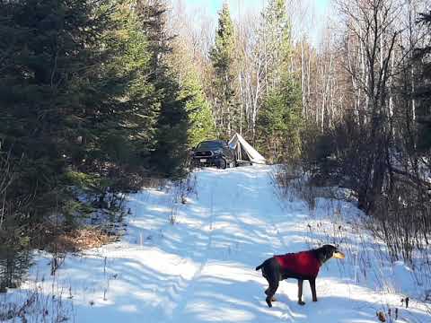 #5 Snow Camping With Hot tent 2 #doberman