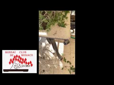 2023 11 24  - Réalisation de Baudouin  de Lorgeril