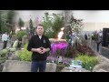 Check out this video about water feature maintenance provided by Greenhaven Landscapes in Vancouver WA