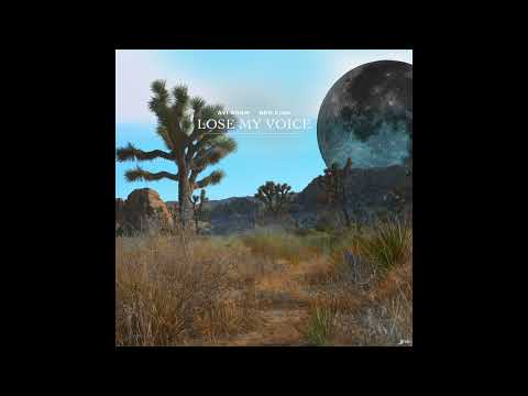 Avi Snow & Ben Cina - Lose My Voice
