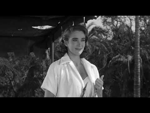 Swimming Scene («Creature from the Black Lagoon»)