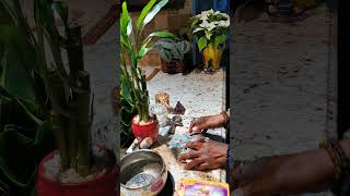 Avoid Alcohol Trap 🍻🍾‼️#innerpath #theinnerpathshaman #innerpathwarrior #innerpathjourney #chosenone