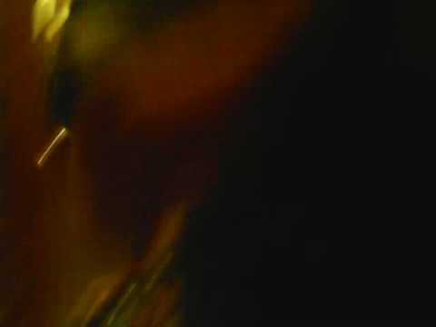 Expozitia de la Casa Robanesti