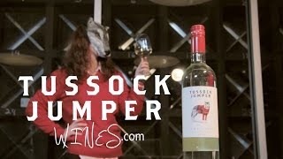 Tussock Jumper - Pinot Grigio