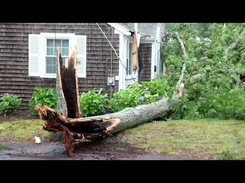 07-09-2021 Yarmouth, MA - Large Trees Crashes Into Occupied Home- Tropical Storm Elsa- Cape Cod