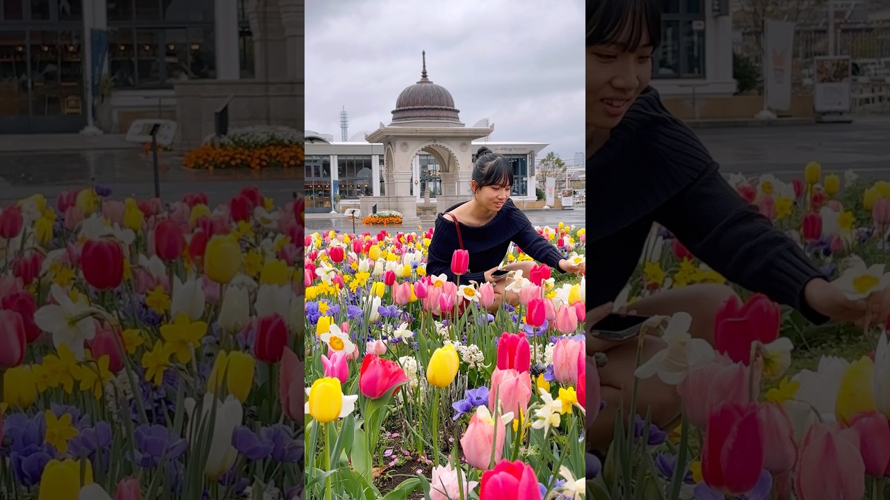 Yamashita Park,Yokohama #yamashitapark #Yokohama