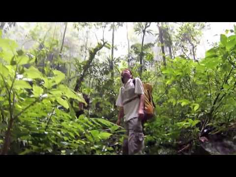 First Expeditions to Son Doong - The World's Largest Cave