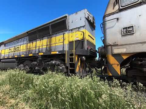 1428 & 1102 at Narromine South NSW.  Wed 27th Jan 2021