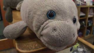 Manatee Doll Comedy
