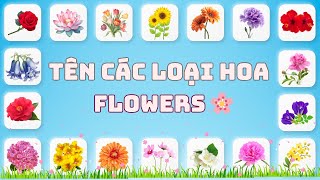 🌸 Learn English: Types of Flowers | Learn English: Types of Flowers 🌼🌺🌷 | Oh Vui Kids