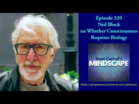 Mindscape 339 | Ned Block on Whether Consciousness Requires Biology