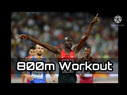 800m Workout || Training Schedule