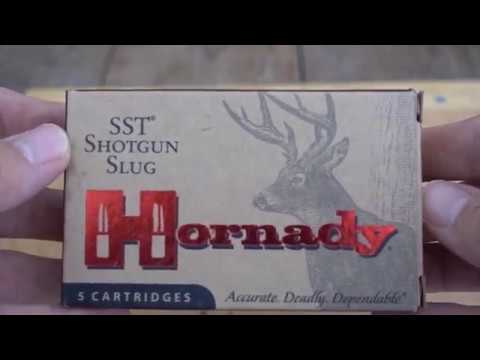 12 Gauge Hornady SST Sabot Slug analysis