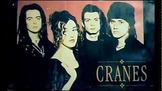 CRANES - live in vancouver (2002) [Audio Full Album]