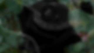 Flores negras (cover)