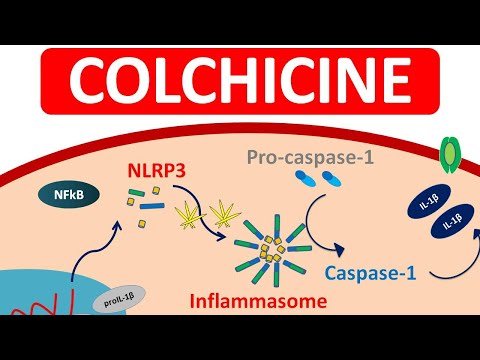 Colchiheal tablets IP